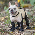 Waterproof Anti-Fall Dog Outdoor Walking Running Hiking Booties with Auxiliary Strap