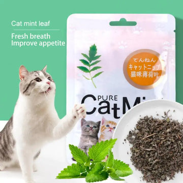 Catnip 5g/Pack Cat Mint Powder Natural Pet Kitten Mouth Cleaning Flavor Treats